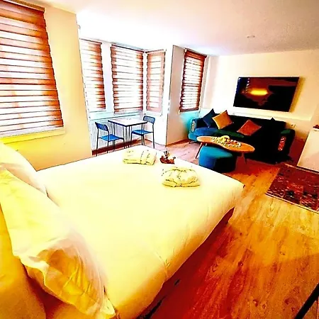 Mates Historical Hotel 3*